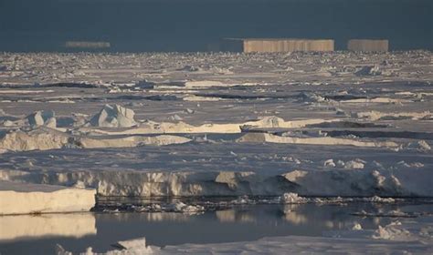 En Antarctique La Fonte De La Banquise Bat Un Nouveau Record