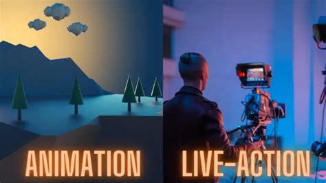 Live Action vs Animation Video: What You Should Choose?