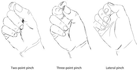 Normative Values For Pinch Strength—relationship With Joint