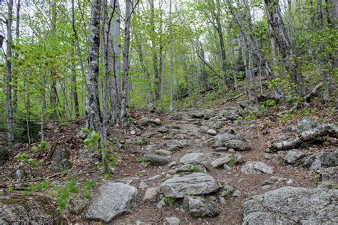 Artists Bluff Trail Franconia Notch State Park Hiking For Donuts