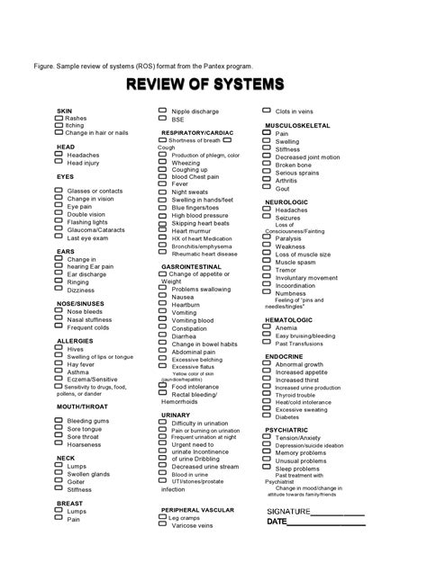 Free Review Of Systems Templates Checklist Templatelab