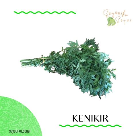 Jual Daun Kenikir 1 Ikat Shopee Indonesia