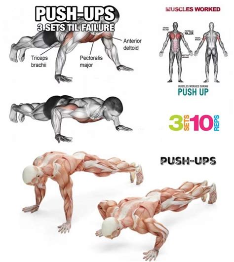 How To Do Perfect Pushup Decline Incline Exercises Guide