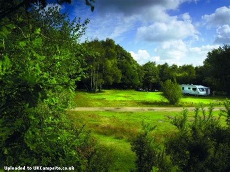 Holmsley Camping In The New Forest , Christchurch Campsites, Dorset