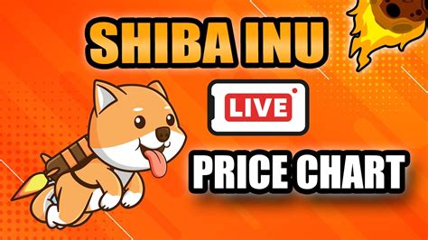 Live Shiba Inu Live Stream Shiba Inu Coin Price Chart Updates