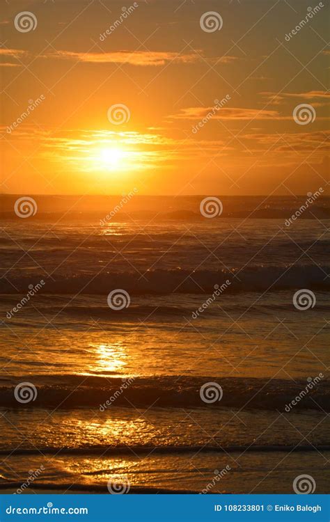 Sunset at Piha Beach in New Zealand Stock Image - Image of ocean, beach ...