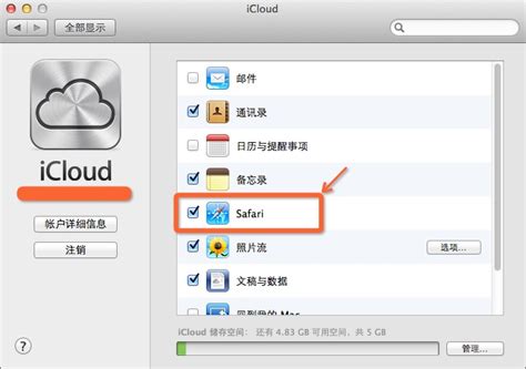 xmarks icloud swingworks studio