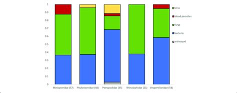 Proportion Of Microparasite Groups Observed In Bat Flies Collected