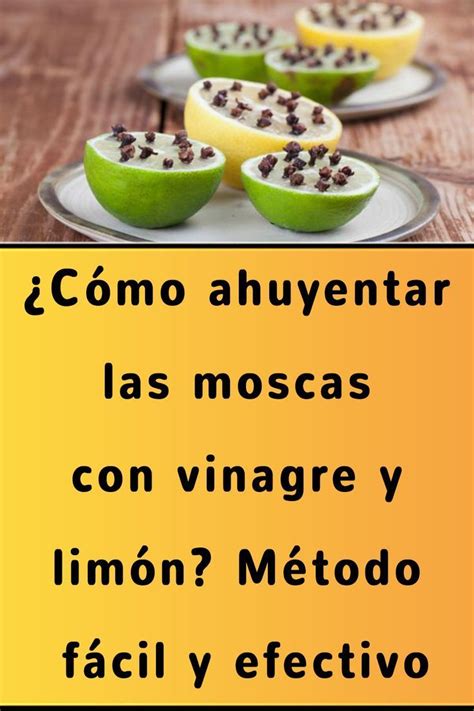 Los Mejores Trucos Para Evitar Que Tu Cocina Se Llene De Moscas Y