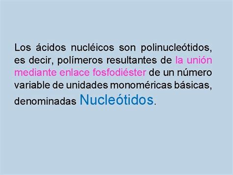 Nuclesidos Y Nucletidos Semana Nucletido Los Cidos