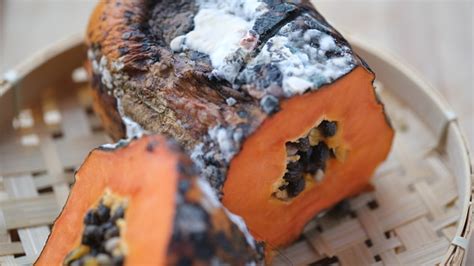 rotten papaya   bamboo plate stock photo  image