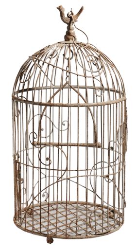 White Bird Cage Png Image Purepng Free Transparent Cc Png Image