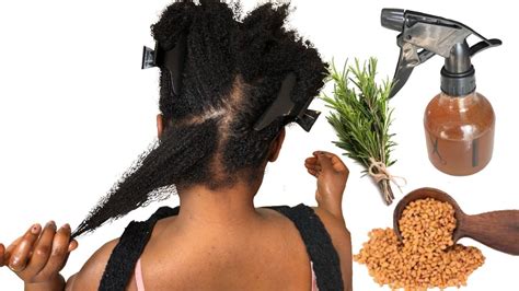 How To Make Rosemary Fenugreek Spray For Hair Growth Rosemary Hair