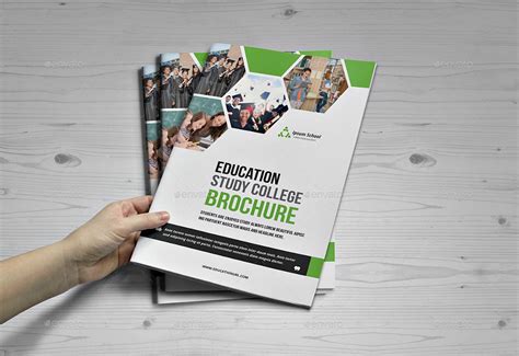 Examples of Education Brochure Designs - 18+ in EPS | AI | Illustrator ...