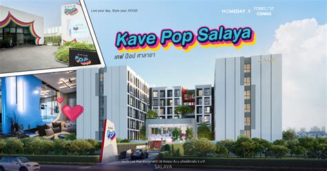 Kave Pop Salaya Low Rise