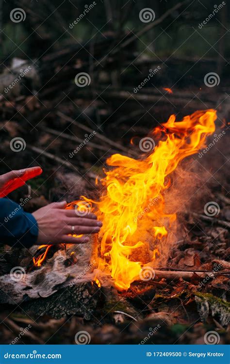 Man Warms His Hands On Fire Burning Wood At Evening In The Forest