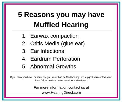 Muffled Hearing: What is it? Expert advice on how to treat it — Hearing ...