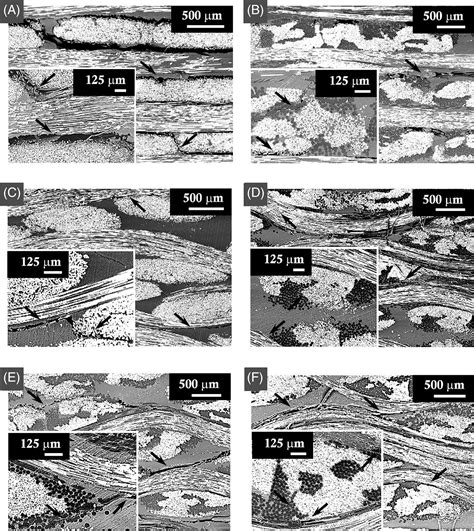 Intralaminar Toughening Mechanisms To Enhance Impact Damage Tolerance