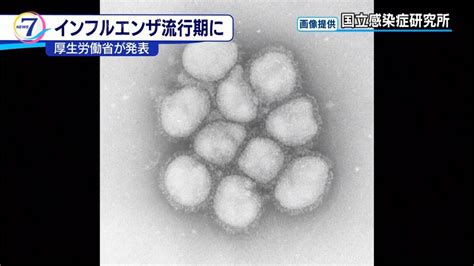 旅日注意！日本流感進入流行期 民視新聞網