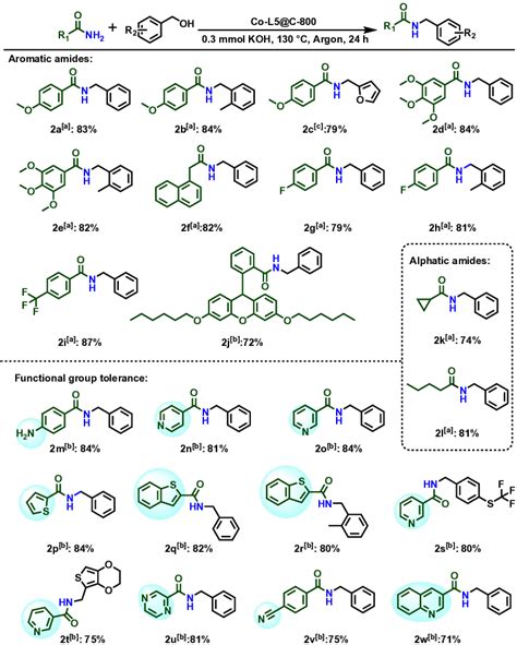 Scheme 2 Co L5 C 800 Catalyzed N Alkylation Of Different Amides With