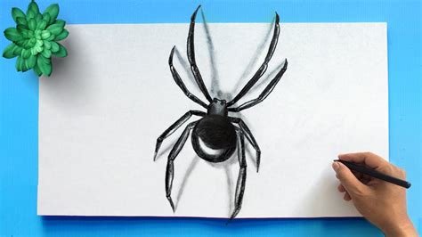 how to draw a realistic spider