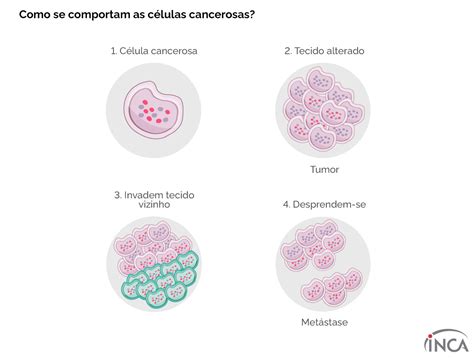 Como Se Comportam As Células Cancerosas — Instituto Nacional De Câncer