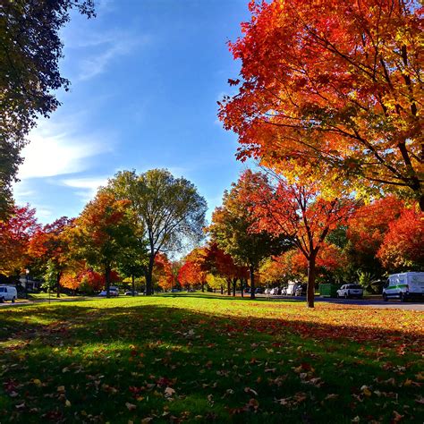 fall color in minnesota 3
