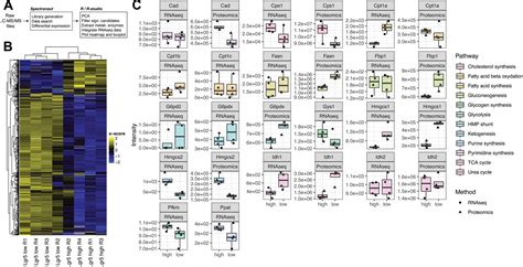 Identifying Cell‐type‐specific Metabolic Signatures Using Transcriptome