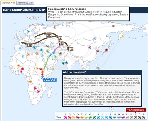 haplogroup migration map | Life After Intercontinuum Travel