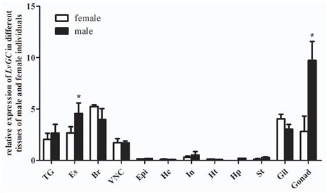 Frontiers Sex Biased Chhs And Their Putative Receptor Free Nude Porn