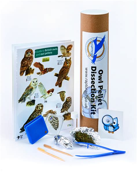 Owl Pellet Dissection Kit Advanced — Raptor Aid