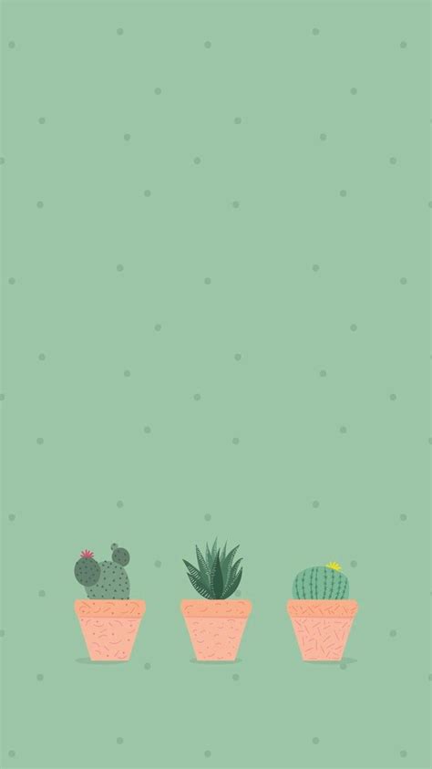 Cactus Aesthetic Wallpapers - Wallpaper Cave