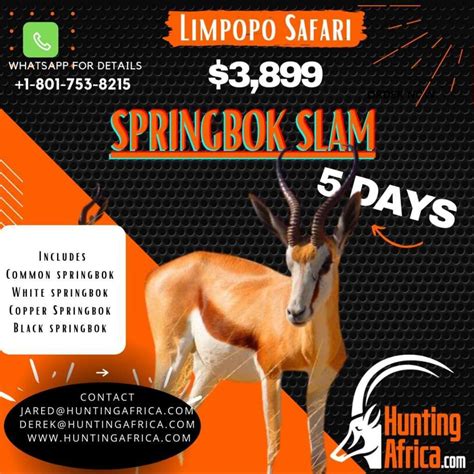 Limpopo Springbok Slam Hunt Package 5 Days 1 Hunter 1 Ph South