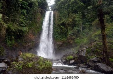 Gitgit Waterfall Bali Indonesia Stock Photo 1162681480 | Shutterstock