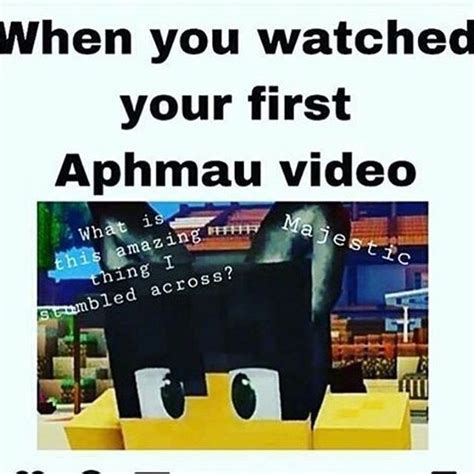 Aphmau Memes Aphmaumemes Memes Aphmau Aphmau Memes Aphmau Aphmau Images