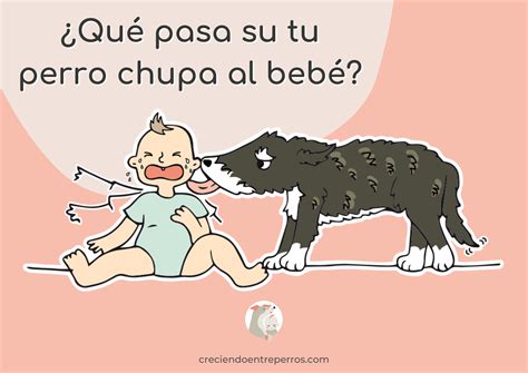 Mi Perro Sabe Que Mi Bebe Es Mio