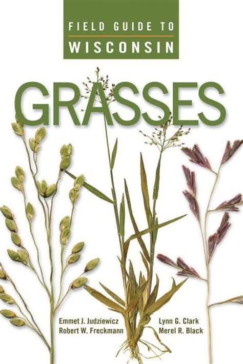 Field Guide To Wisconsin Grasses Nhbs Field Guides And Natural History