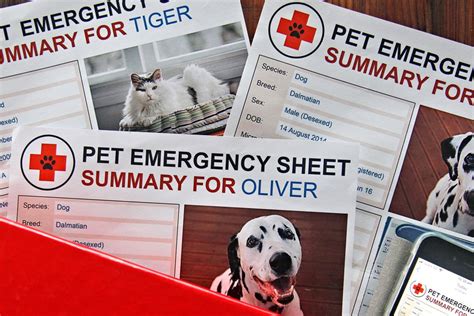 Free Pet Information Sheet Printables Dalmatian Diy