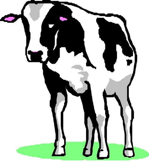 Free Cow Spots Clipart, Download Free Cow Spots Clipart png images ...