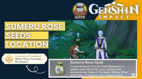 Sumeru Rose Seeds Location Genshin Impact 3 0 YouTube