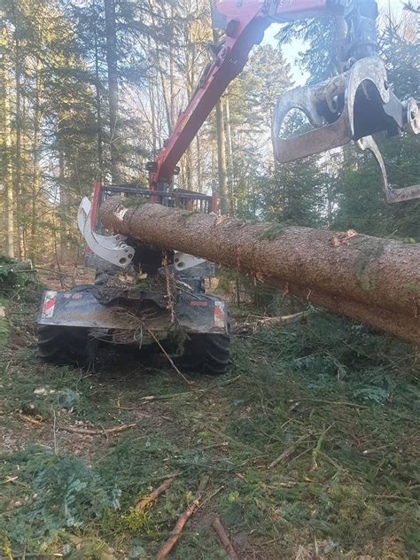 Forstarbeiten Forst Und Landschaftspflege Wagner