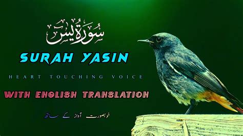 Unwind With Surah Yasin Yaseen Relaxing Touching Recitation