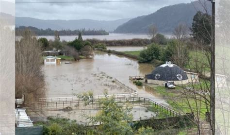 Decretan emergencia agrícola entre Valparaíso y Biobío por las