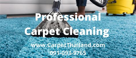 Choosing Professional Carpet Cleaning and Washing Services