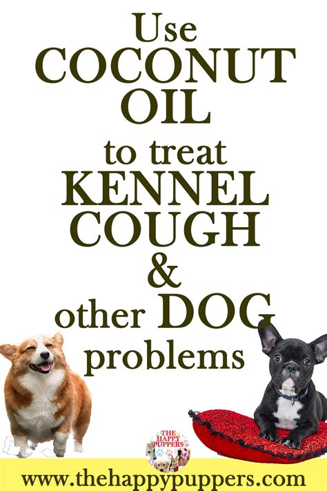 Coconut oil is a boon for dogs. It is available in everyone's homes and ...