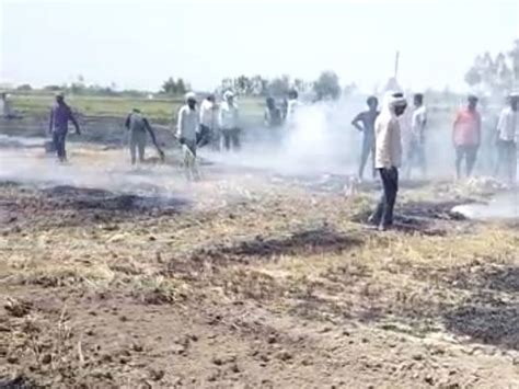 Seven Bighas Of Wheat Crop Burnt To Ashes Farmers Demanded