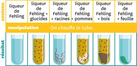 Les résultats du test expérimental à la liqueur de Fehling