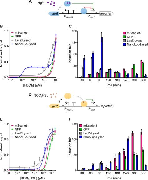 Comprehensive Profiling Of Diverse Genetic Reporters With Application