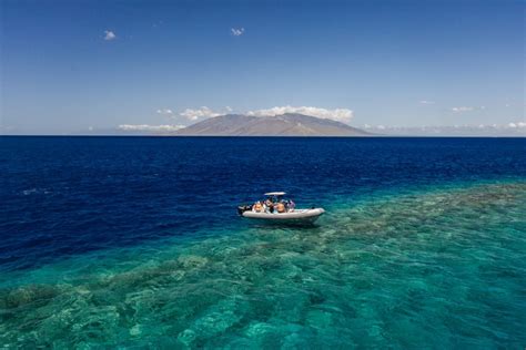 South Maui Molokini Volcanic Crater Snorkeling Cruise Getyourguide