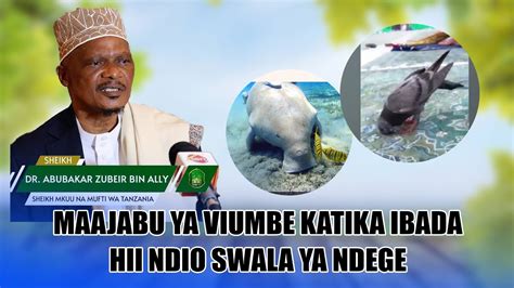 Maajabu Ya Viumbe Katika Ibada Walizopangiwa Na Allah Hii Ndio Swala